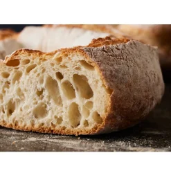 Bakels Broodverbeteraar Desem (Fermdor Active) 1kg