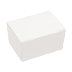 Bonbondoosje Wit Glans -125 gram- 25 stuks