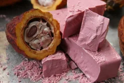 Callebaut Chocolade Callets Ruby 2,5 kg (RB1)