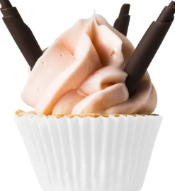 Callebaut Chocoladedecoratie Choco Pencil Small Puur 400st.