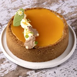 Dobla Chocoladedecoratie Haas (108 stuks)