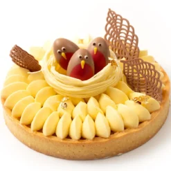 Dobla Chocoladedecoratie Roodborstje (36 stuks)**