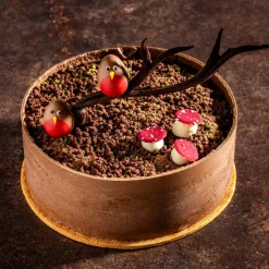 Dobla Chocoladedecoratie Roodborstje (36 stuks)**