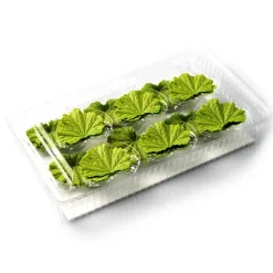 Dobla Chocoladedecoratie Lenteblad Groen (24 stuks)
