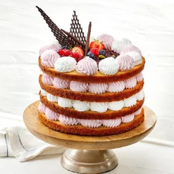 Dreidoppel Vegan Whip (opklopbaar crèmepoeder) 10kg