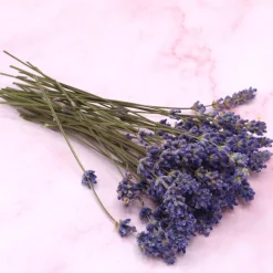 Eetbare Gedroogde Lavendeltakjes (40 stuks)