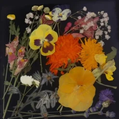 Eetbare Geperste Bloementuin met Steel (15 stuks)