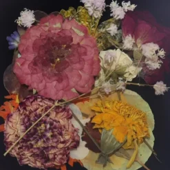 Eetbare Geperste Bloementuin met Steel (15 stuks)