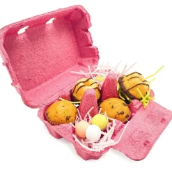 Eierdoos Roze 6 Eieren