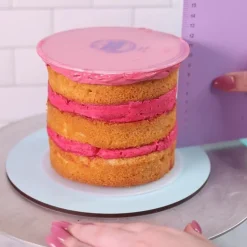 Frost Form Flexi Botercrème Plaat Rond 21,6cm Set/2