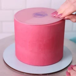 Frost Form Flexi Botercrème Plaat Rond 21,6cm Set/2