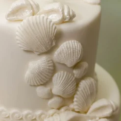 Katy Sue Mold Schelpen