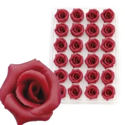 Marsepein Rozen Bordeaux 6-blads 25mm (24 st.)