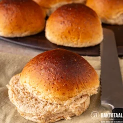 Molen de Hoop Amerikaanse Patentbloem 1kg