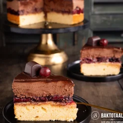 Molen de Hoop Vulkaan Bakpoeder 100gr