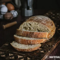 Molen de Hoop WSDP Startervoeding 1kg