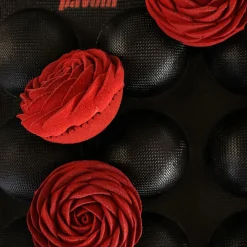 Pavoni Fiberform Halfrond Ø8x4cm (24) 60x40cm