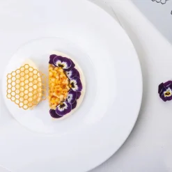 Pavoni Siliconen Vorm Honeycomb 67,5x60,5mm (8) 30x20cm