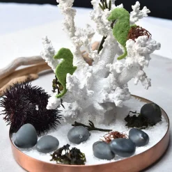 Pavoni Siliconen Vorm Stenen 36x28mm (28) 30x17,5cm