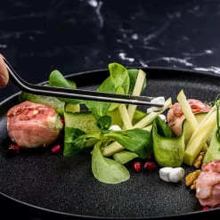 Plate-It Precisie Pincetten Set/2