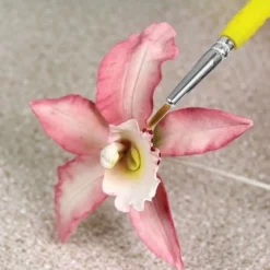 PME Brush & Penselen Fijn Set/5