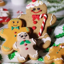 PME Koekjes Uitstekers Gingerbread Set/3