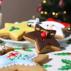 PME Koekjes Uitstekers Sterren Set/3