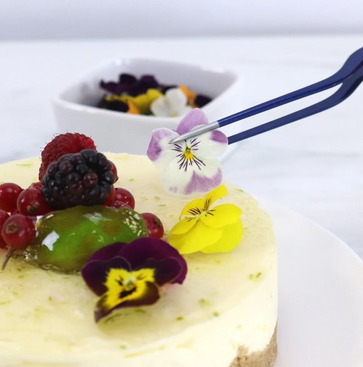 PME Presentatie Pincet (Tweezer) 16,5cm