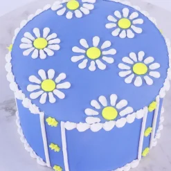 PME Spuitmondjes Bolletjes & Schelpen Set/3