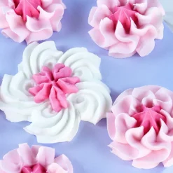 PME Spuitmondjes Cupcakes Set/3