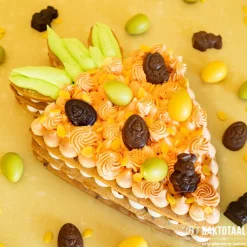 RD Kleurstof ProGel Orange 25 gram