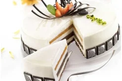 Silikomart Siliconen Taartvorm Rond Ø24x5cm