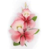 Suikerbloem Orchidee Roze 15cm