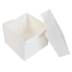 Taartdoos 20x20x15cm. Wit 3st