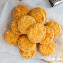 Uitsteker Prof. Rond Glad RVS Ø5cm