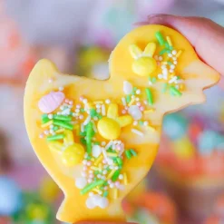 Uitsteker RVS Kuiken