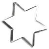 Uitsteker Ster groot 17 x 2,3 cm