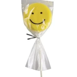 Wilton Cakepops / Lollipop zakjes 10x23cm 25st.