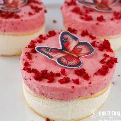 Wilton Mini Springvormen Ø10cm Set/3