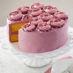 Wilton Performance Taartpan Rond Ø25x5cm