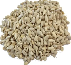 Zonnebloempitten 1kg